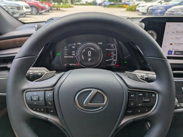 Used 2025 Iridium Lexus 300h image 24