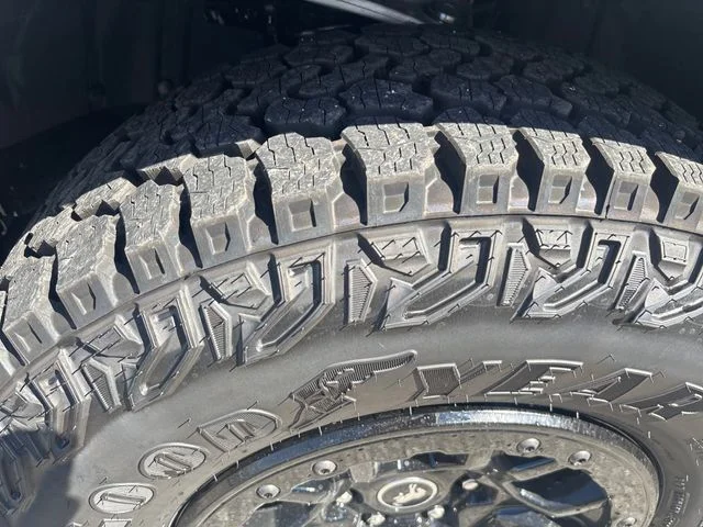 New 2026 Avalanche Gray Ford Badlands® image 27