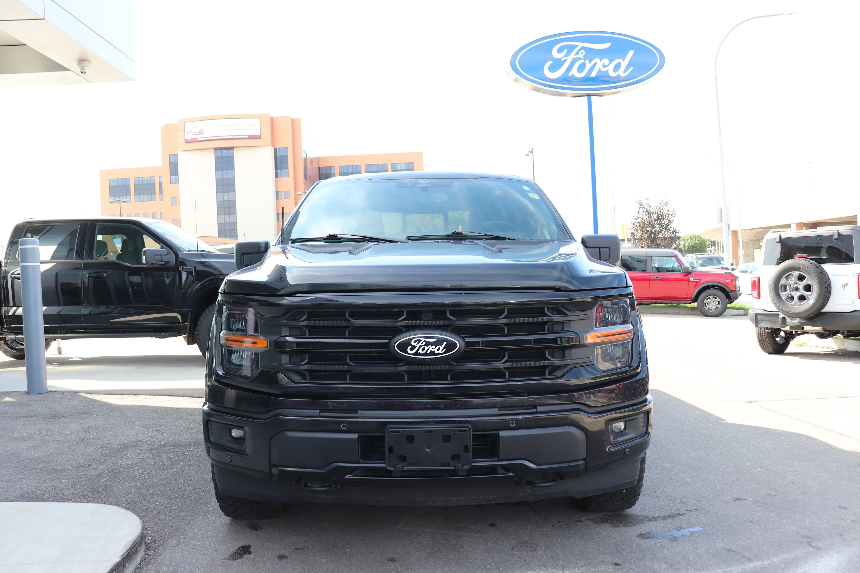 Used 2024  Ford XLT 4WD SuperCrew 5.5