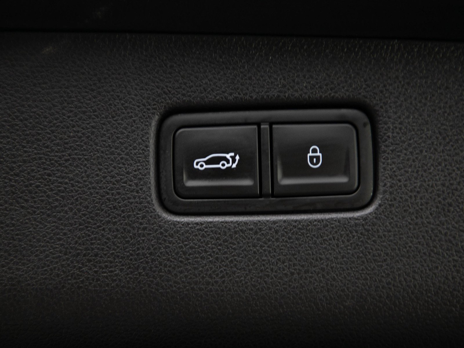 Used 2023 Vik Black Genesis Advanced AWD image 19