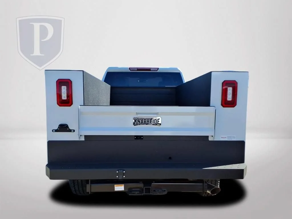 New 2025 Summit White Chevrolet WT image 5
