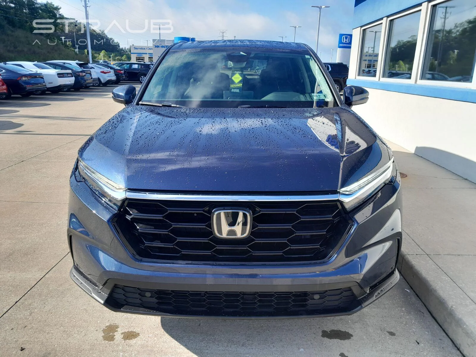 Used 2025 Canyon River Blue Metallic Honda EX-L image 4