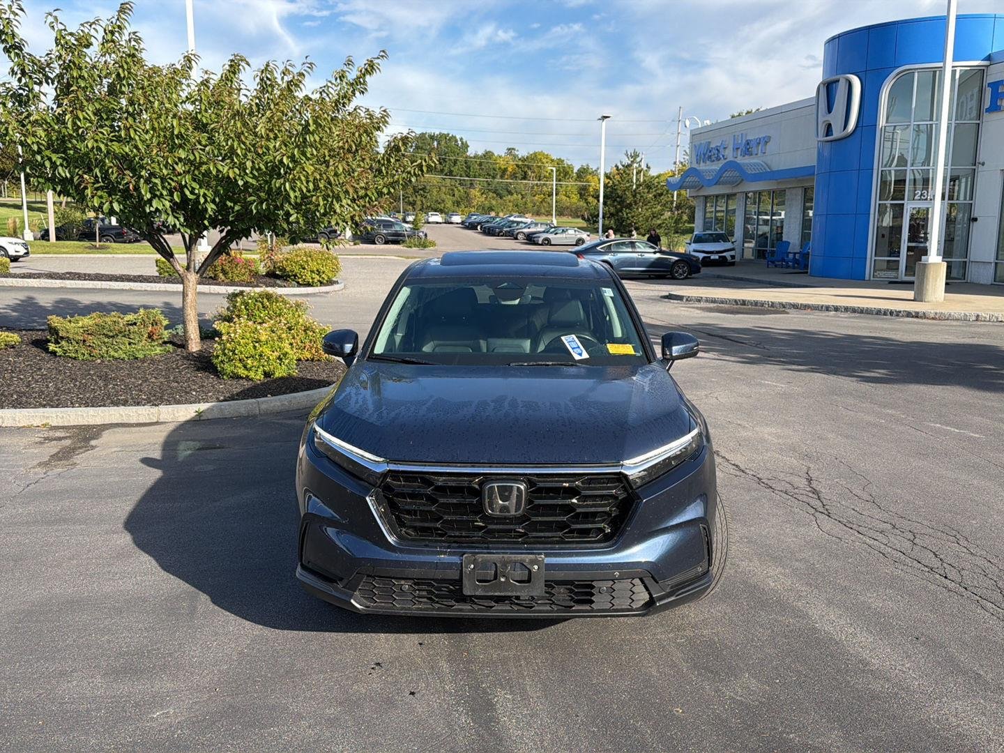 Used 2024 Canyon River Blue Metallic Honda EX-L image 2