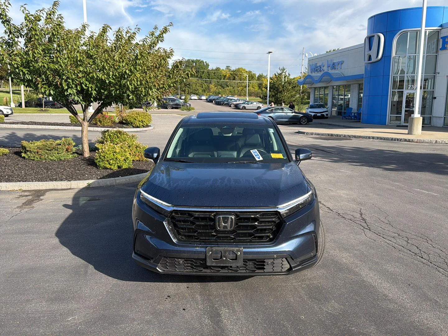 Used 2024 Canyon River Blue Metallic Honda EX-L image 2