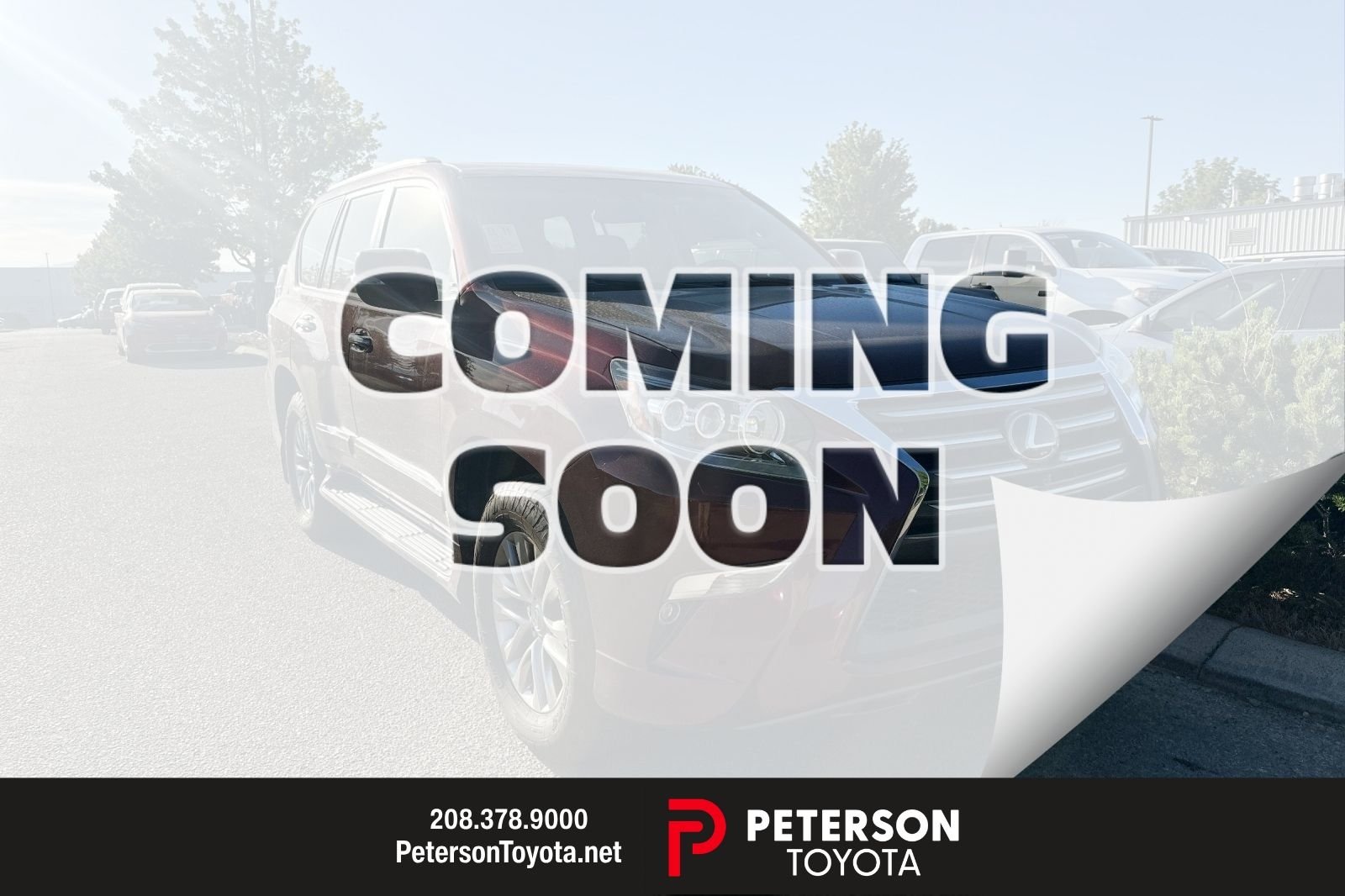 2019 Lexus GX 460 460 LUXURY's photo