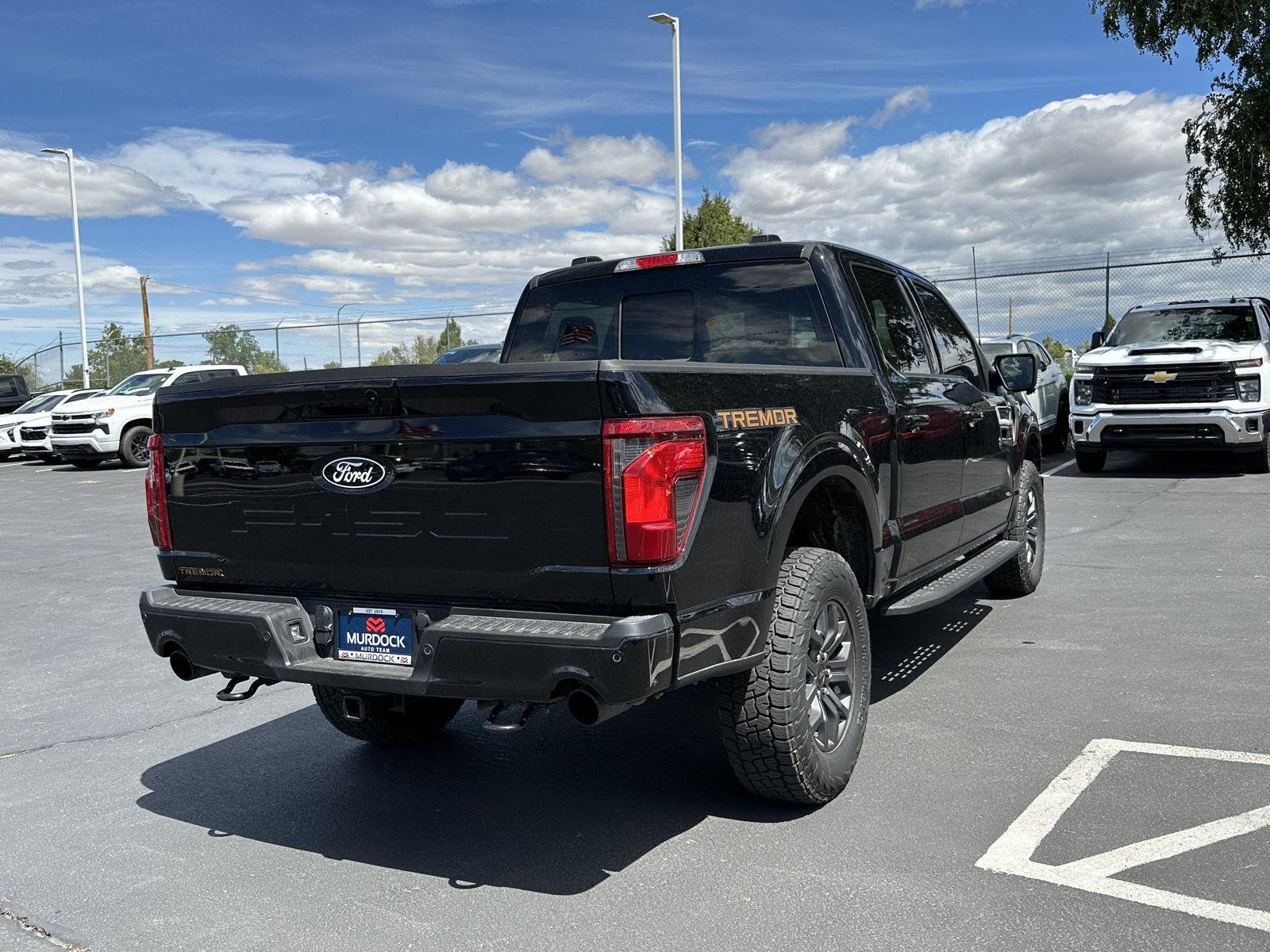 2025 Ford F-150 Tremor - Photo 16
