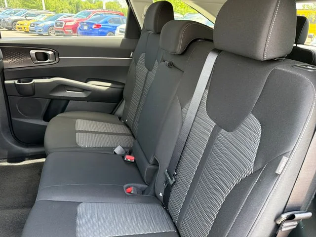 New 2026 Panthera Metal Kia LX image 19