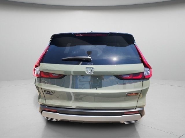 New 2026 Ash Green Metallic Honda TrailSport image 6