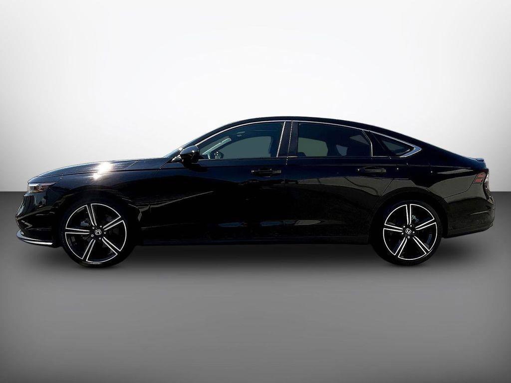 Used 2024 Black Honda Sport image 5