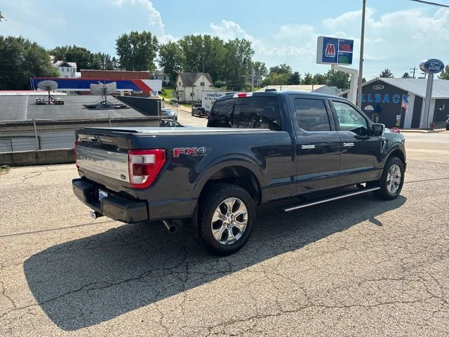 Used 2022 Quartz Metallic Ford Platinum image 8