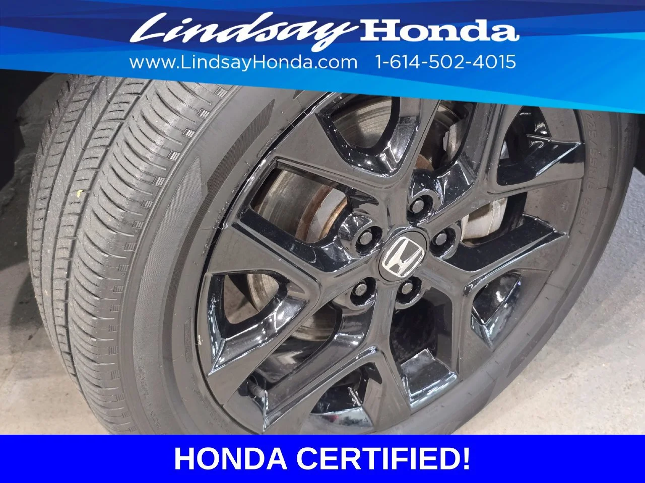 Certified Used 2024 Nordic Forest Pearl Honda Sport image 52