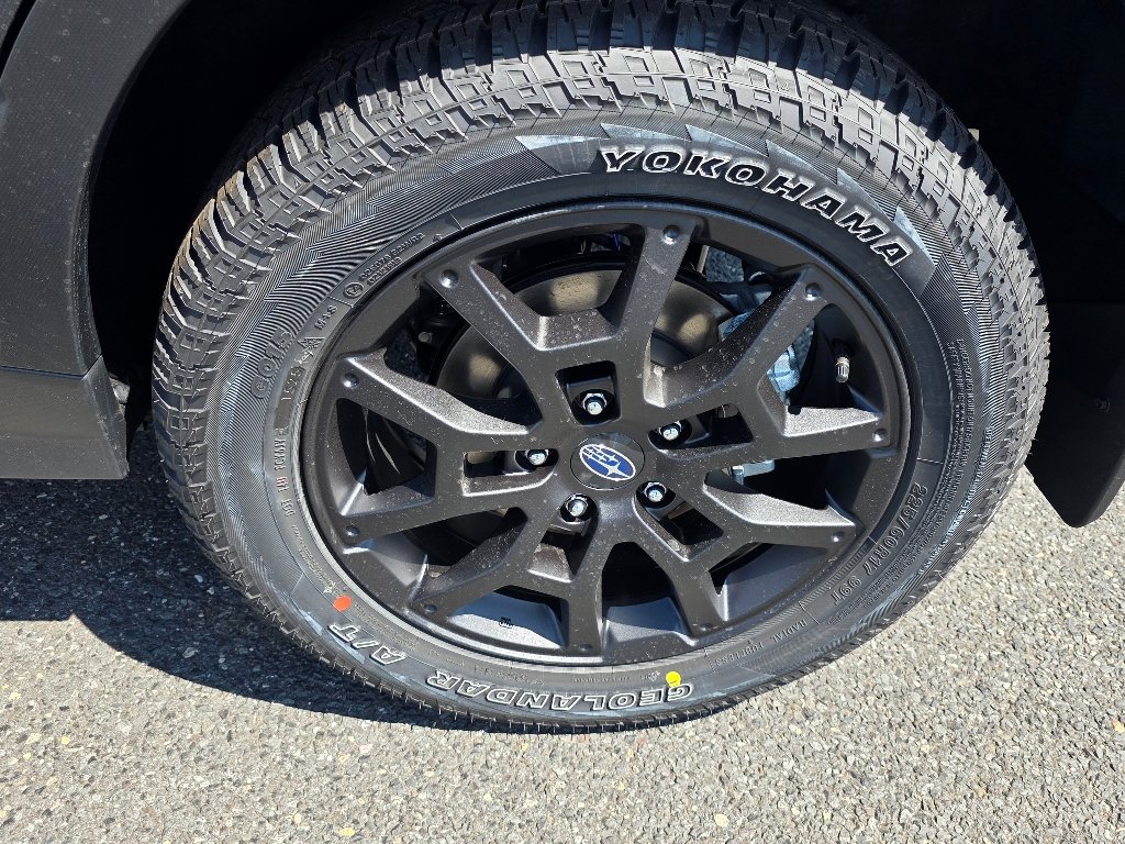 Used 2025 Magnetite Gray Metallic Subaru Wilderness image 6