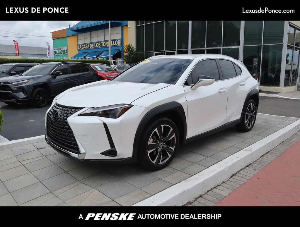 2025 Lexus UX 300h 300h's photo