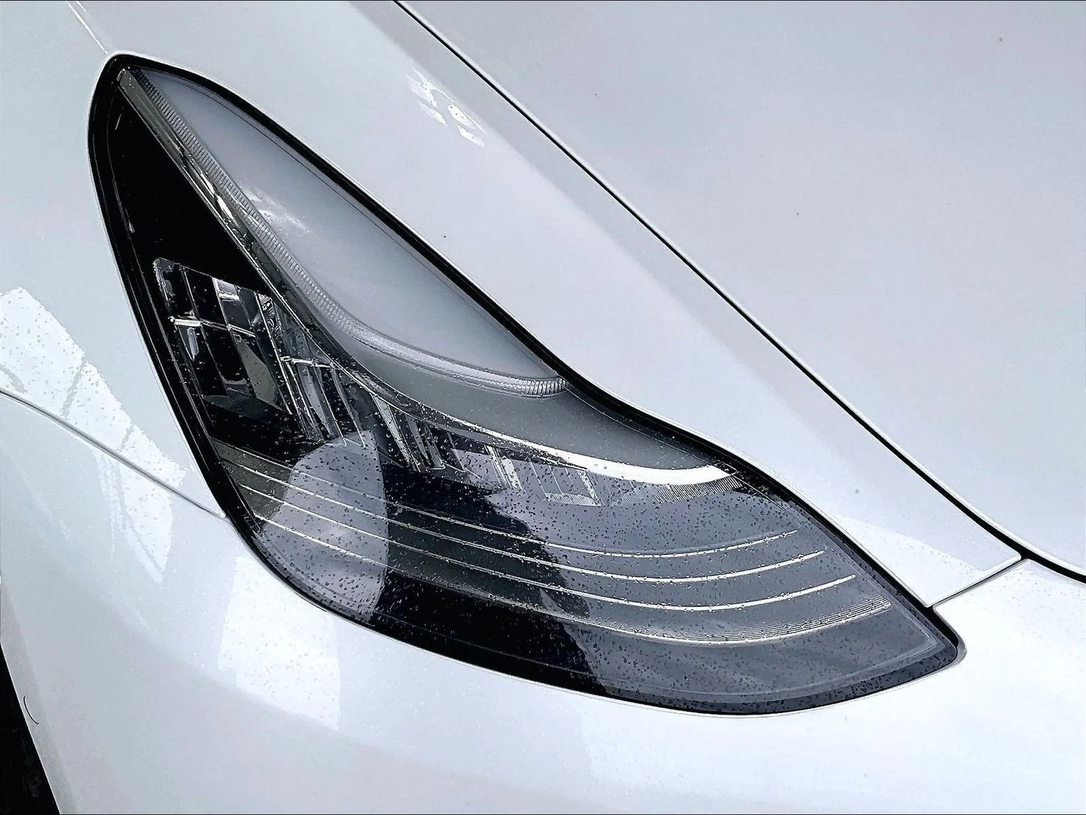 Used 2019 White Tesla Standard Range Plus image 29