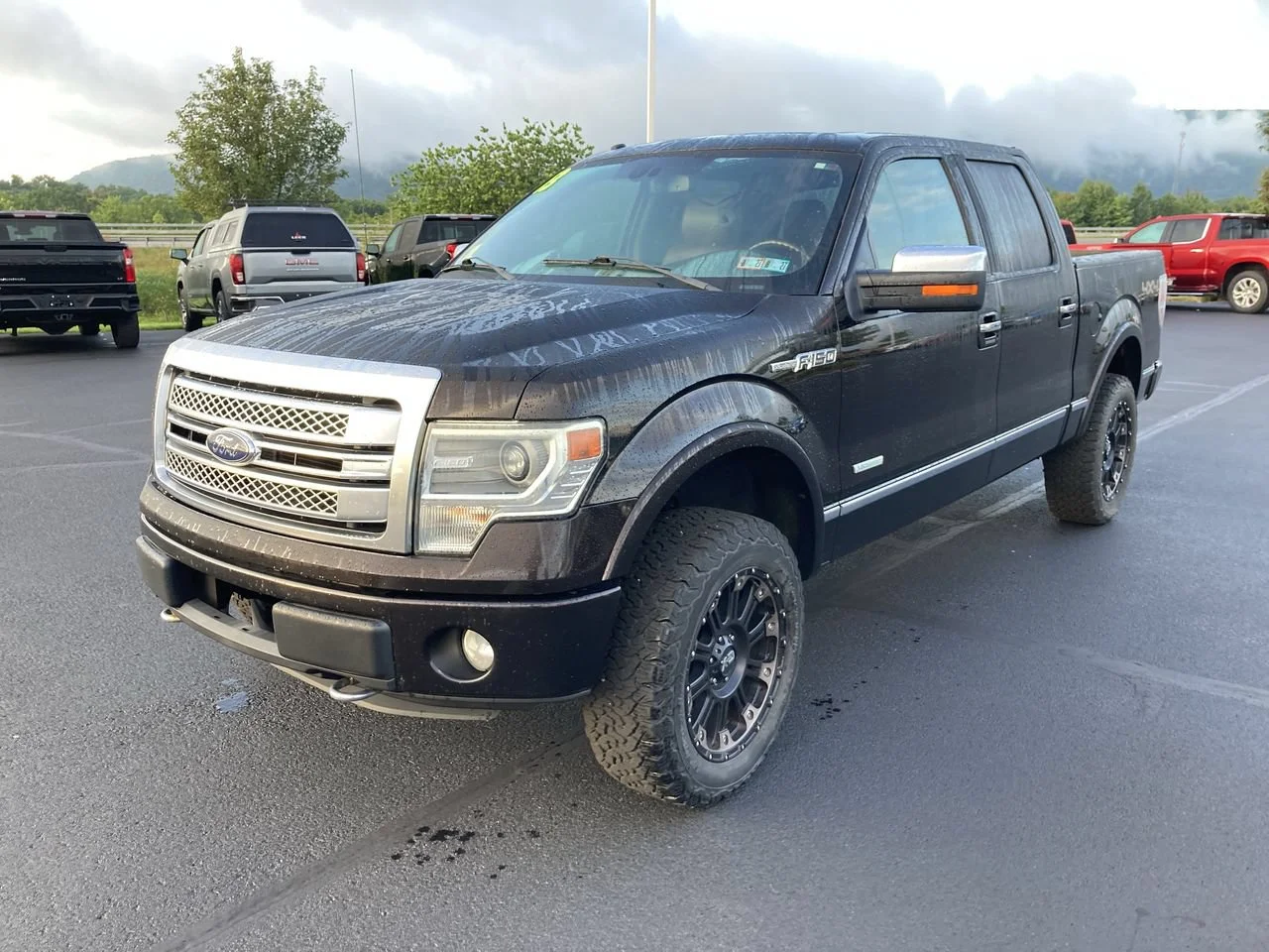 Used 2013 KODIAK BROWN META Ford XL image 3