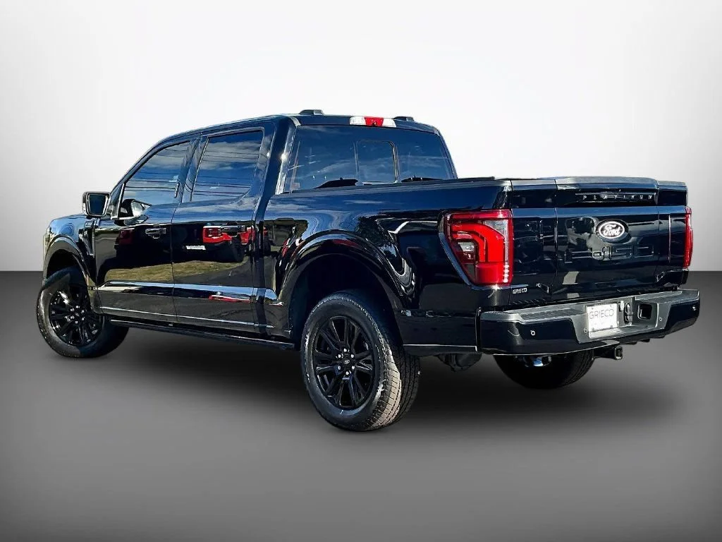 Used 2024 Black Metallic Ford Platinum image 5