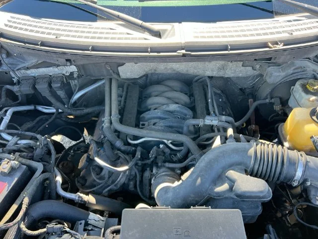 Used 2014 Black Ford STX image 20