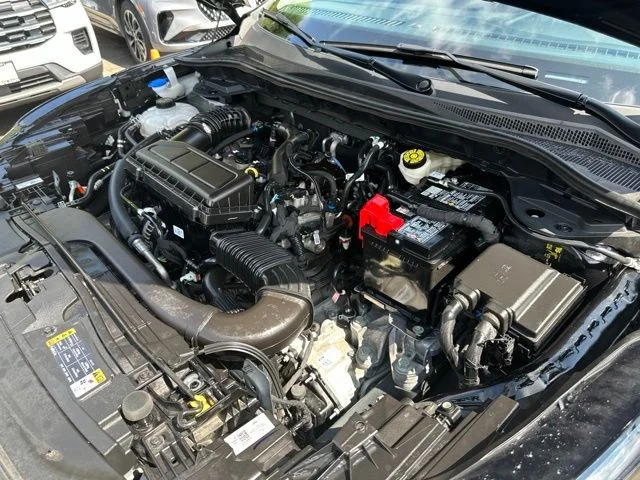 Photo 41