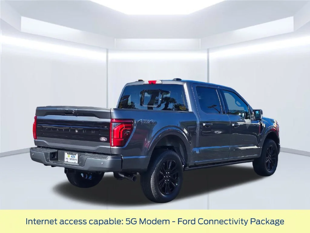 New 2026 Gray Ford Platinum image 23