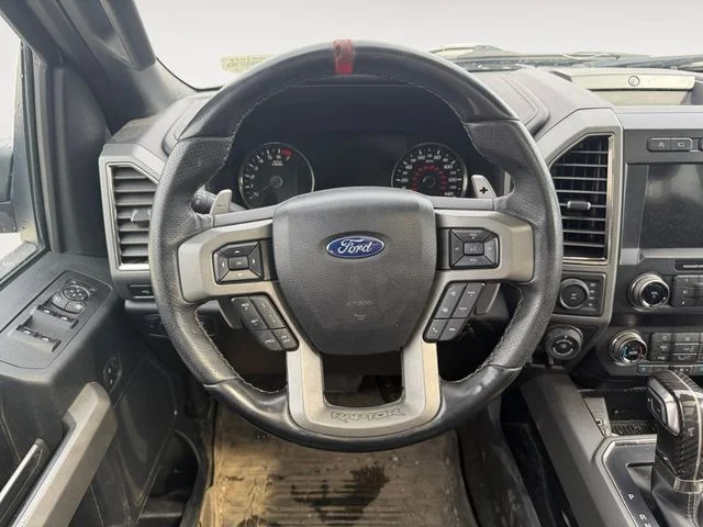 Used 2019 Magnetic Ford Raptor image 12