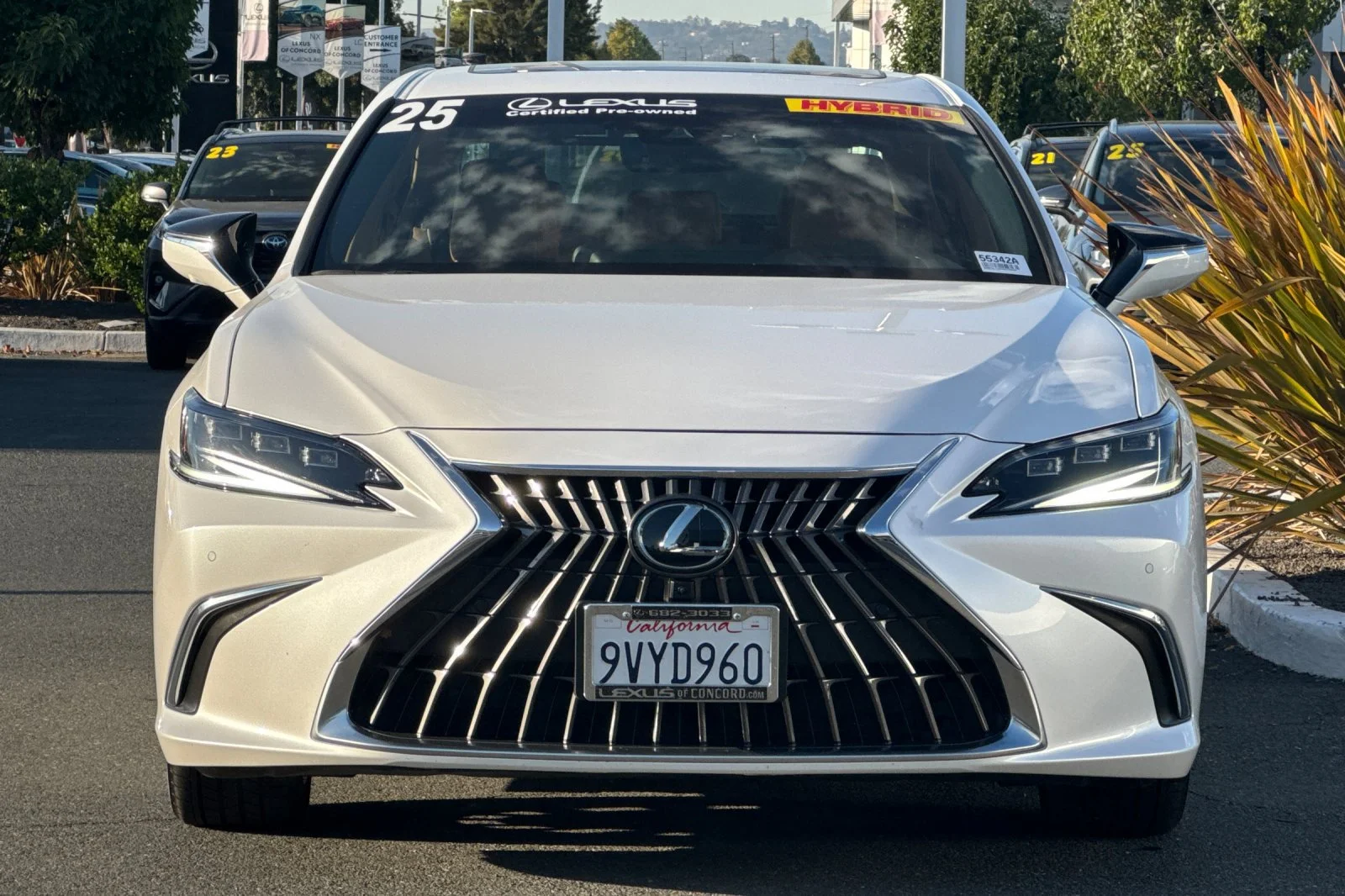 Certified Used 2025 White Pearl Lexus 300h Luxury image 6