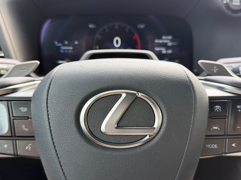 Certified Used 2024 INCOGNITO Lexus 550 Premium+ image 31