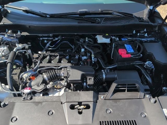 New 2026 Blue Honda EX-L image 20