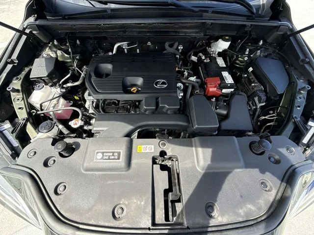 Used 2024 Green Lexus 250 Premium image 27