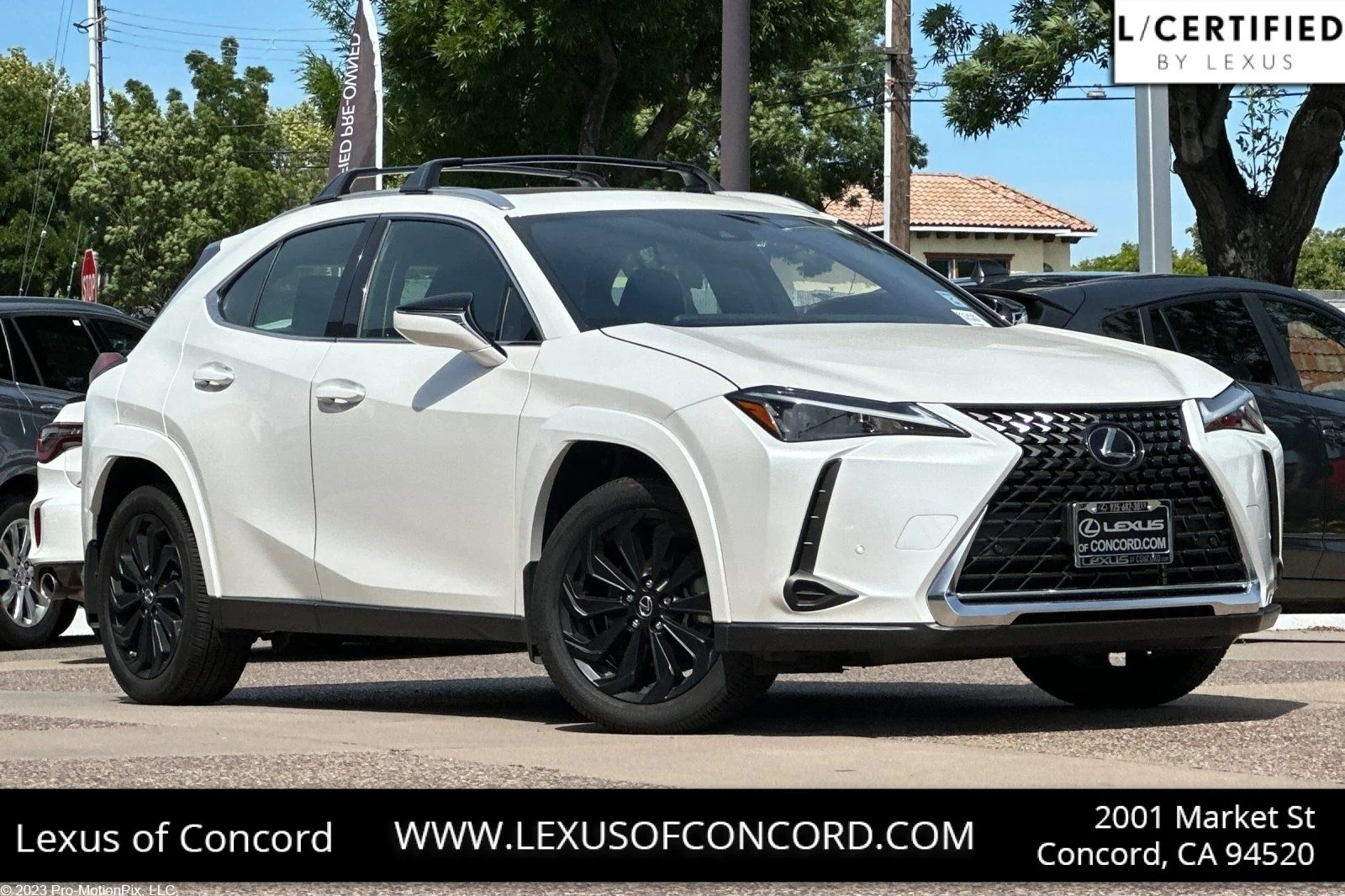2024 Lexus UX 300h 250h Premium's photo