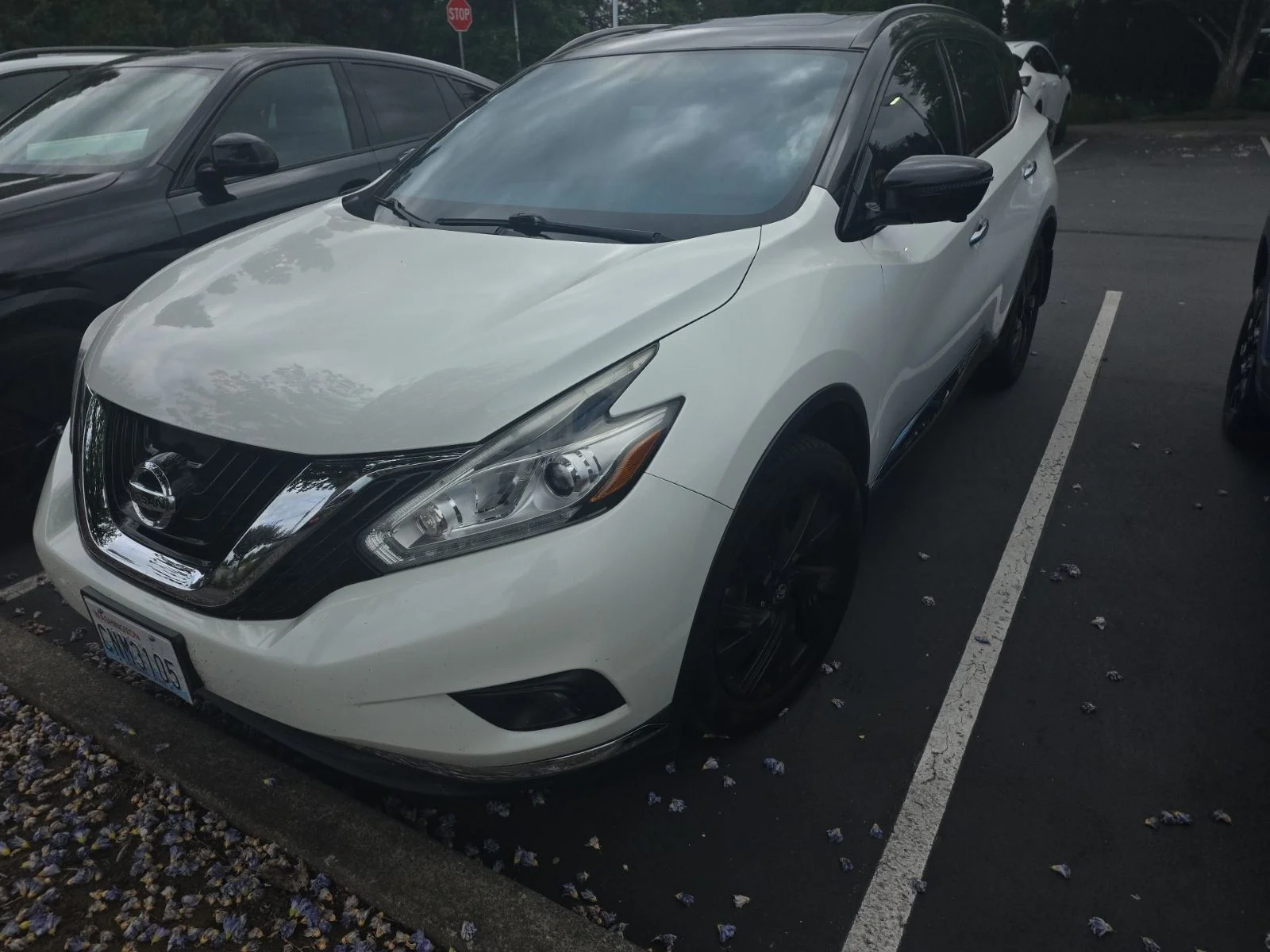 Used 2017 Pearl White Nissan Platinum image 1