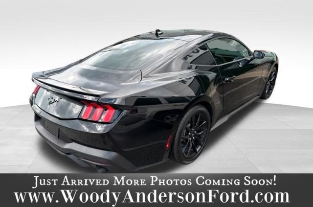 Certified Used 2025 Shadow Black Ford EcoBoost image 5