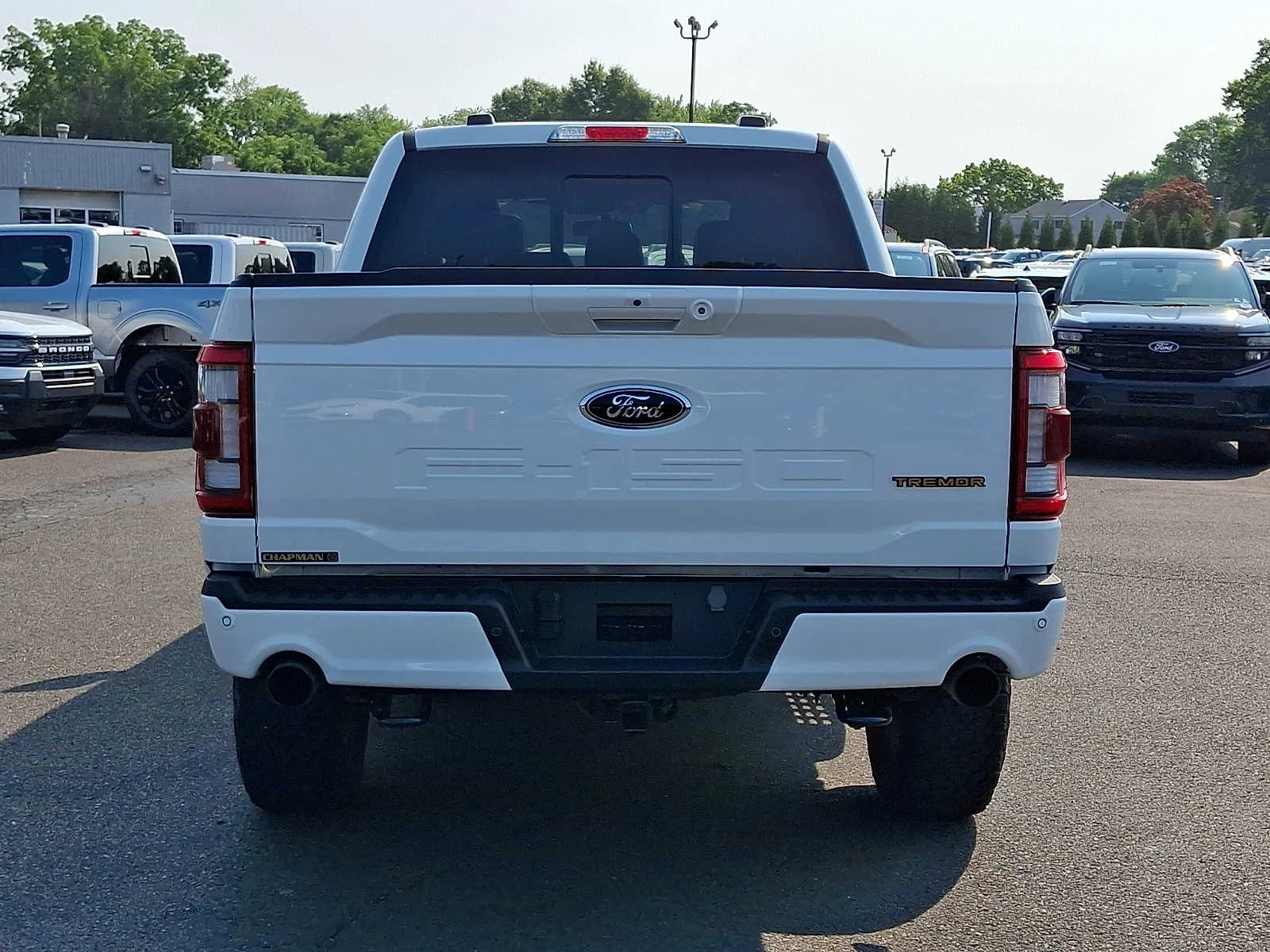 Used 2023 White Ford Tremor image 5