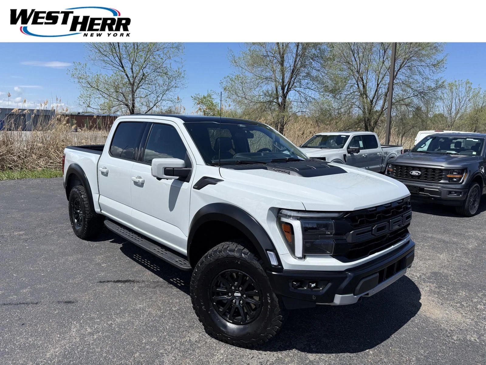 Used 2024 Avalanche Gray Ford Raptor image 1