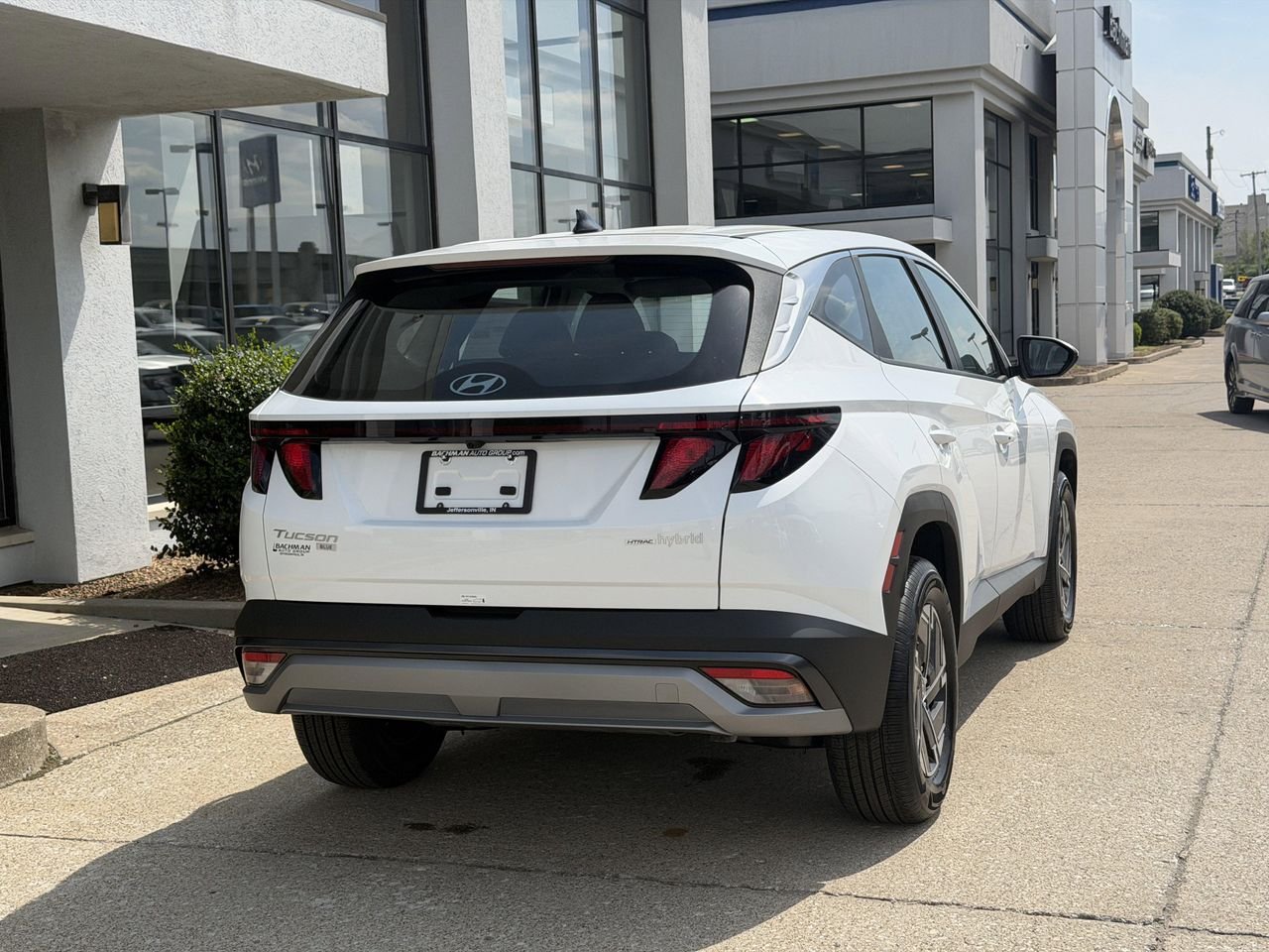 New 2026 Creamy White Pearl Hyundai Blue image 5