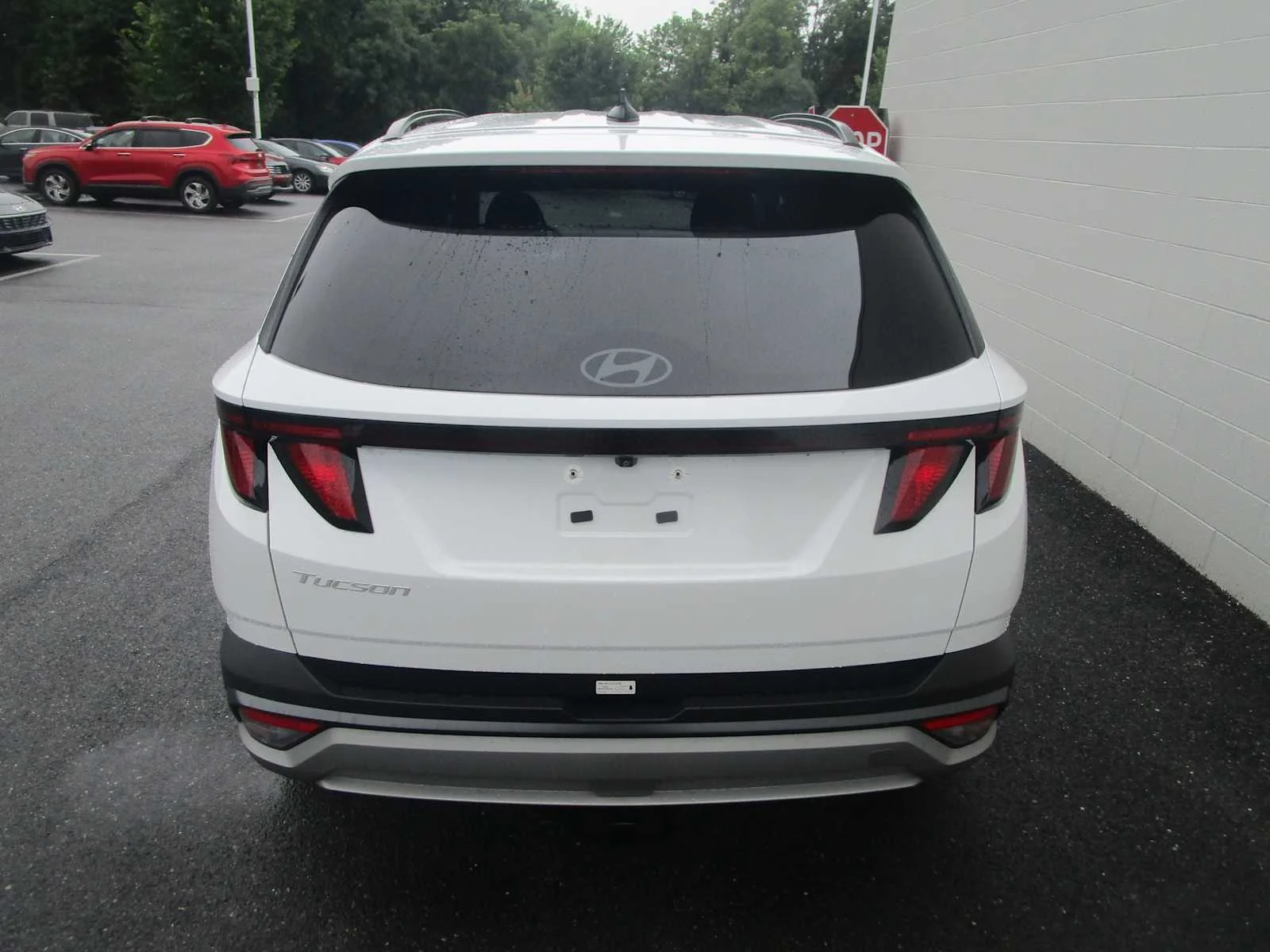 Used 2025 Serenity White Pearl Hyundai SEL image 5