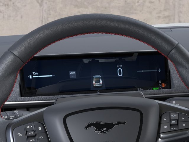 New 2026 Gray Ford Premium image 13