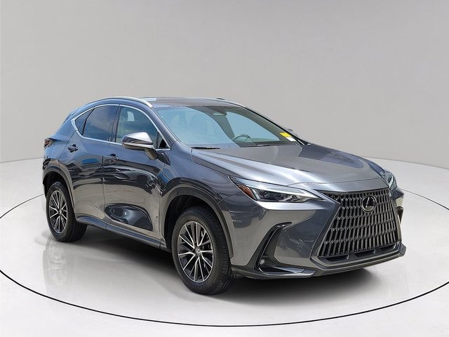 2024 Lexus NX 250 Base