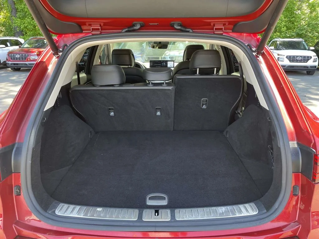 Used 2025 Red Genesis 2.5T image 8
