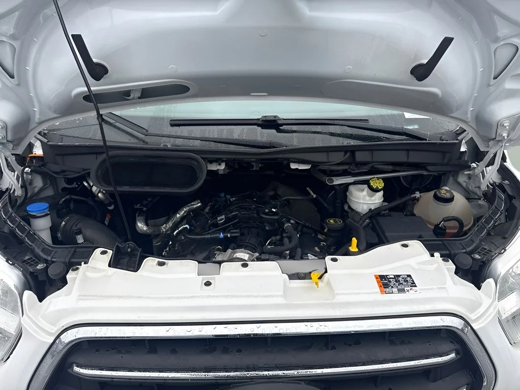 Used 2020 White Ford XLT image 15