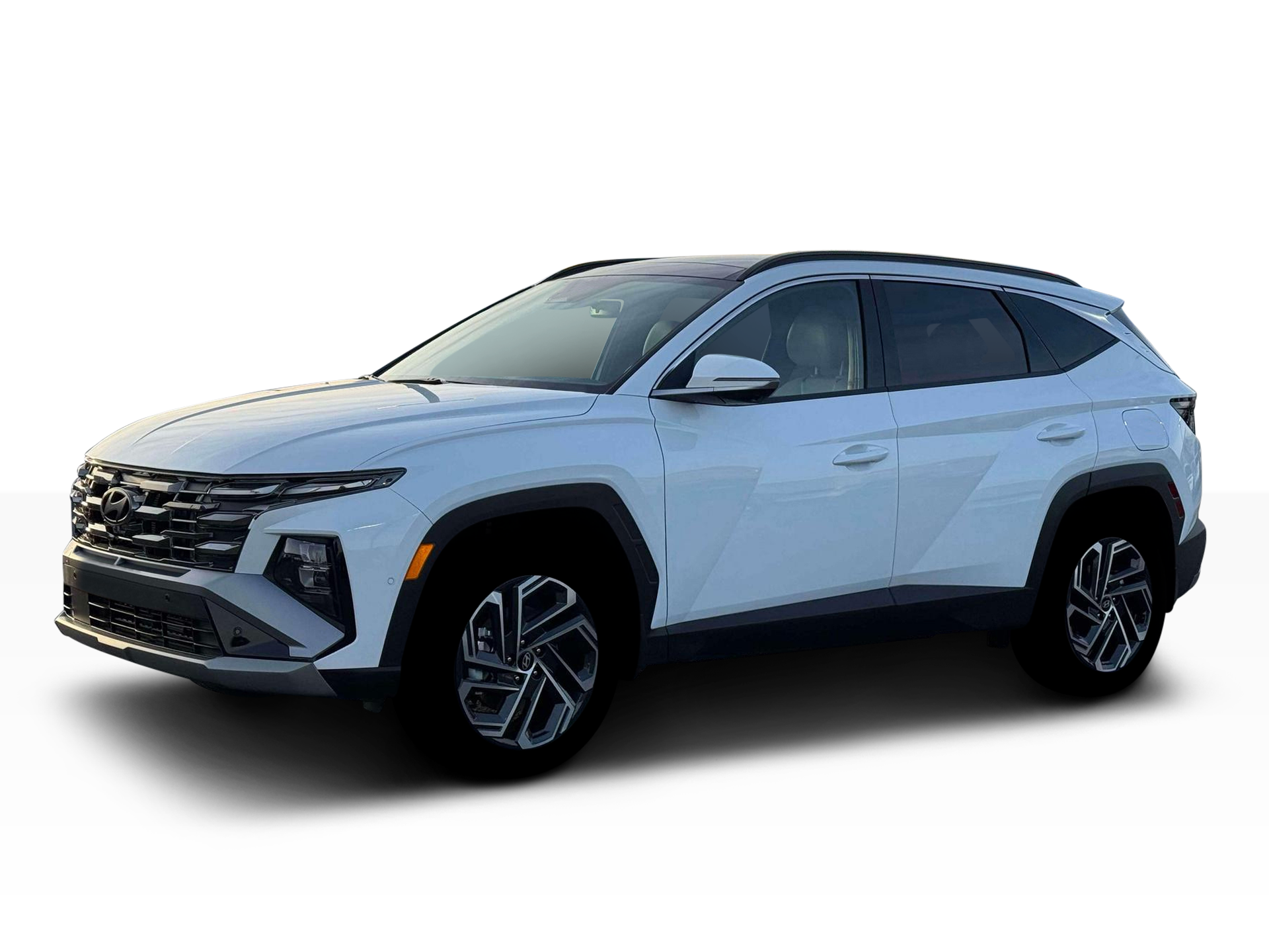New 2026 Creamy White Pearl Hyundai Limited image 16