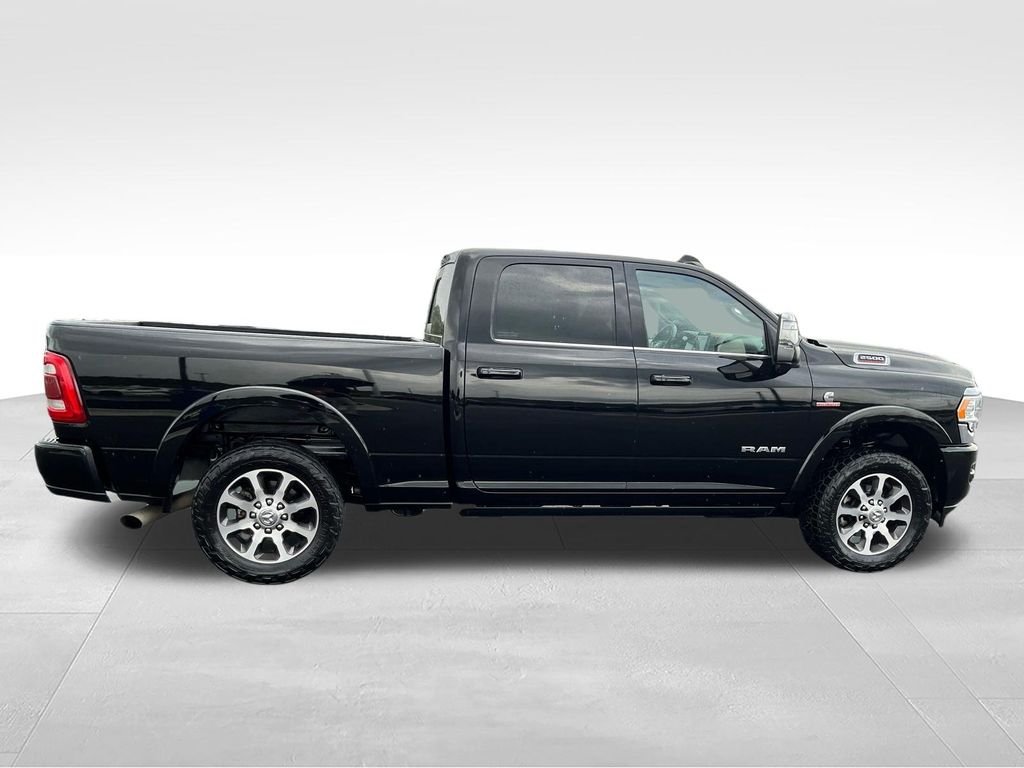 Used 2024 Black Ram Longhorn image 6