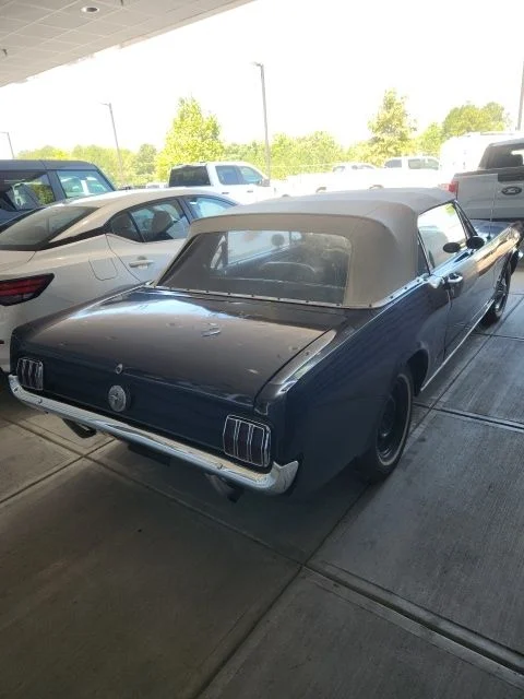 Used 1966 Black Ford Base image 3