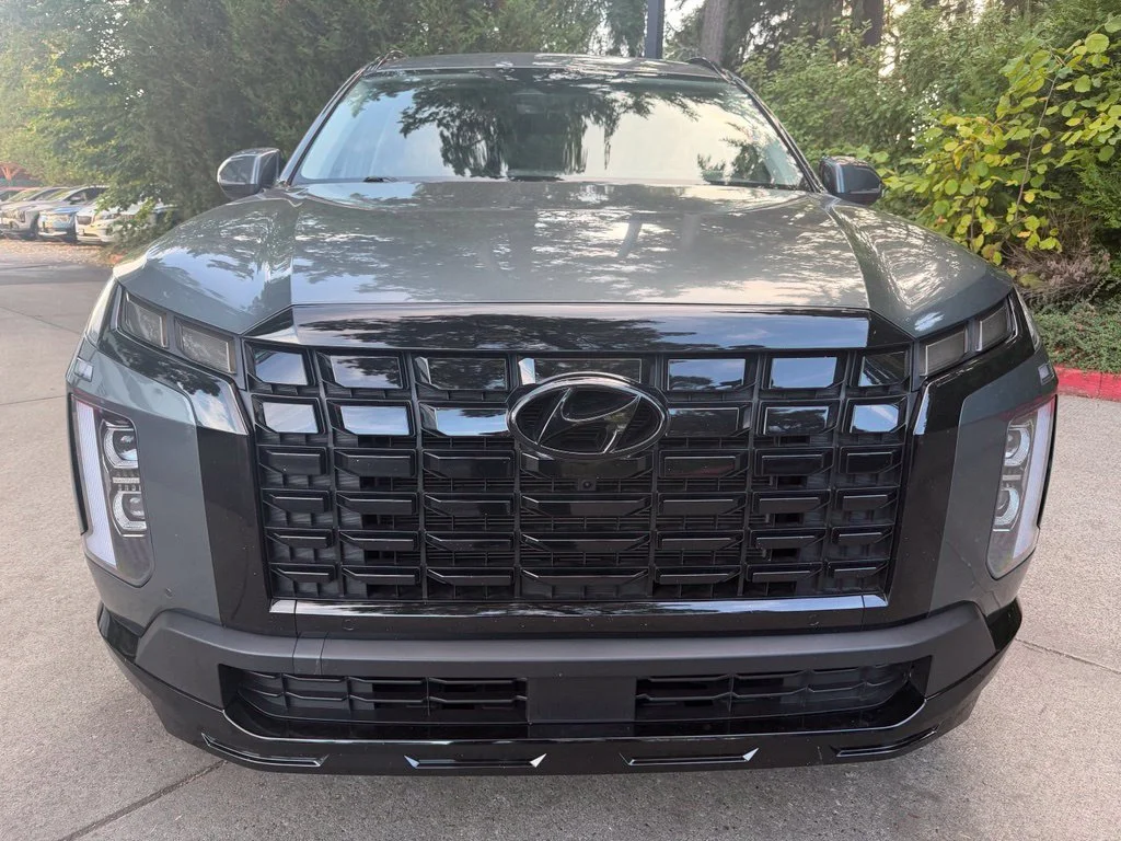 Used 2025 Steel Graphite Hyundai XRT image 9