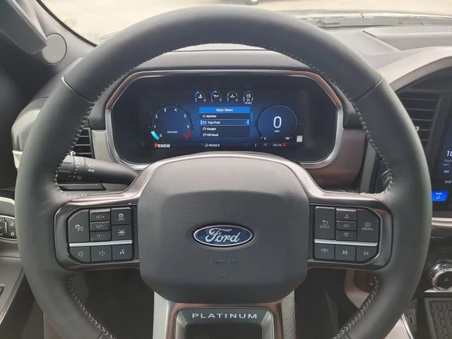 New 2026 Black Metallic Ford Platinum image 31