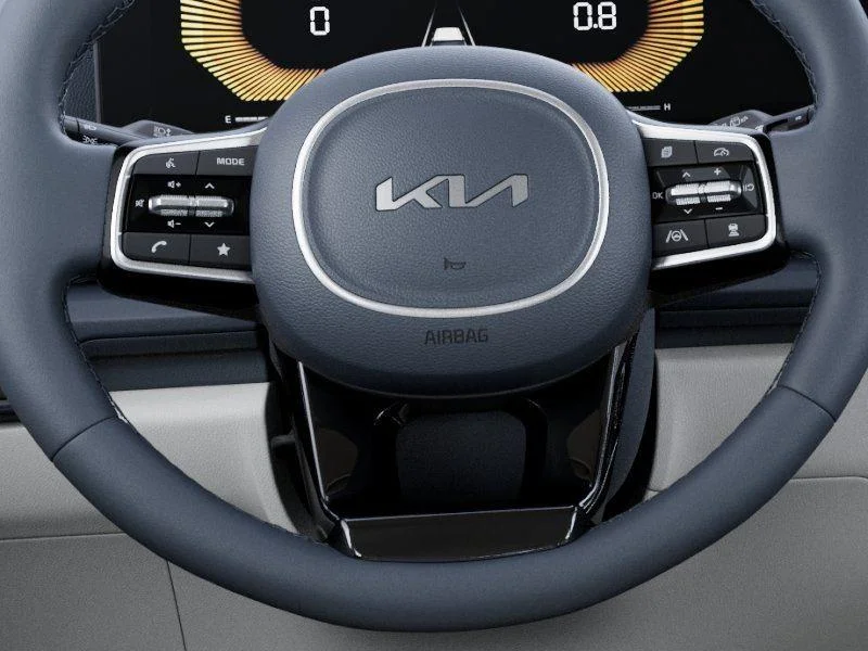 New 2026 Panthera Metal Kia EX image 22