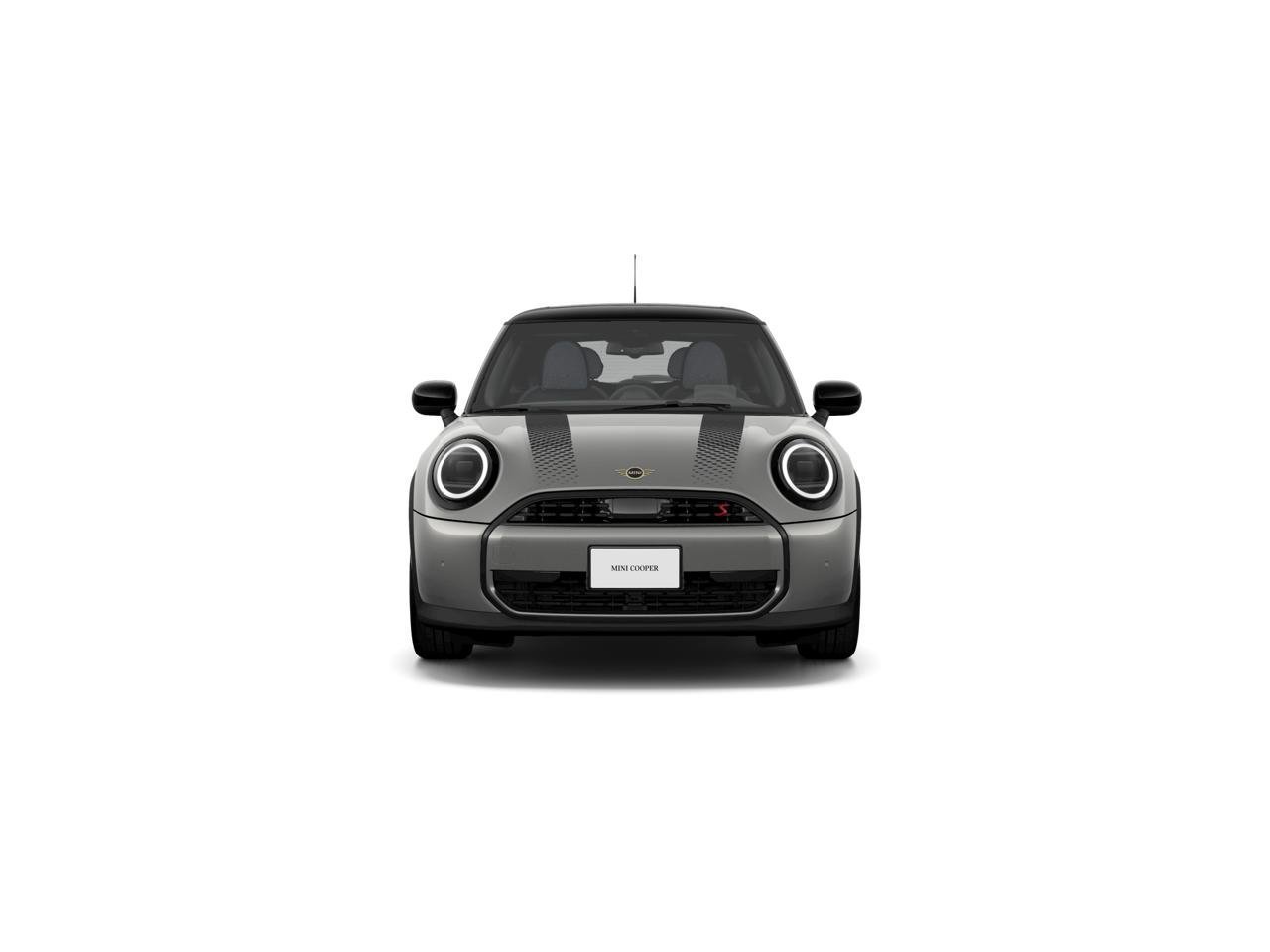 New 2026 Melting Silver III Metallic MINI Signature Plus image 2