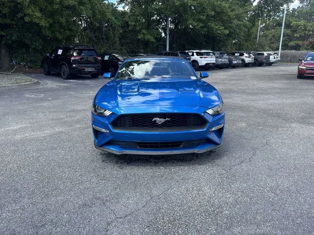 Used 2019 Blue Ford EcoBoost Premium image 2