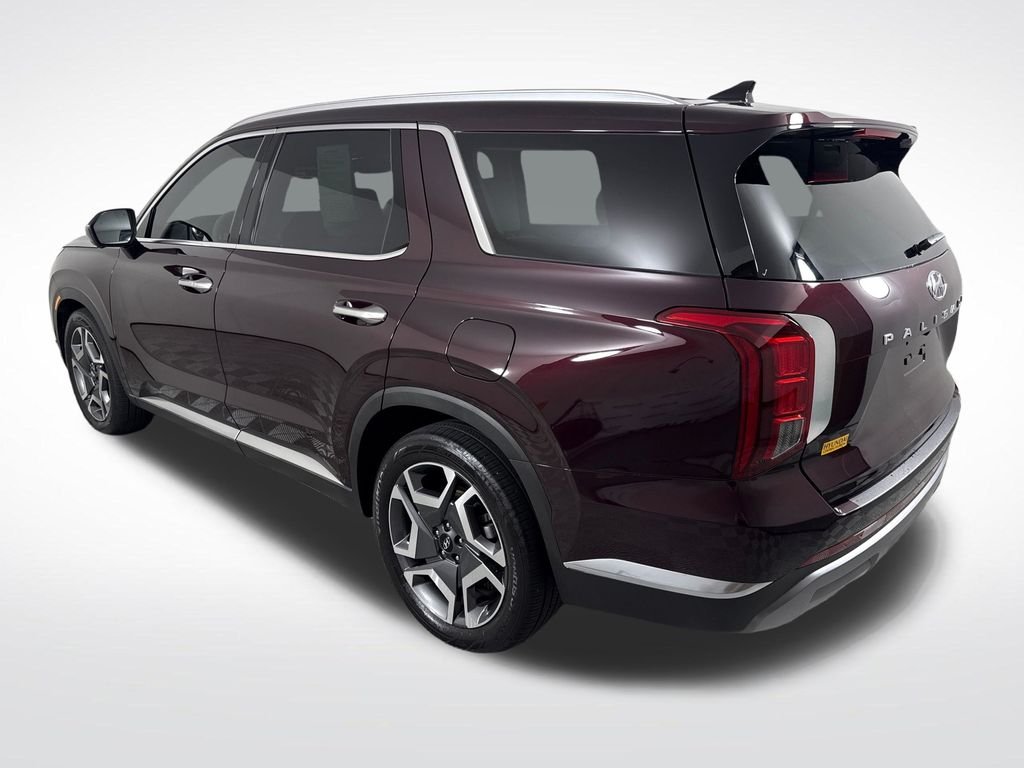 2024 Hyundai Palisade Limited - Photo 6