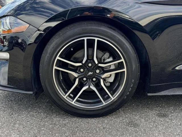 Used 2021 Black Ford EcoBoost Premium image 10
