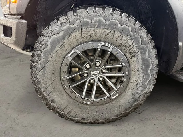 Used 2019 Magnetic Ford Raptor image 14